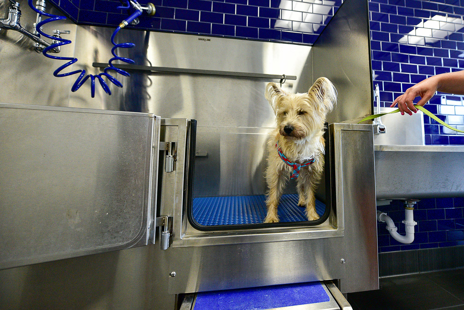 Pet Spa at Durham, Edina, MN